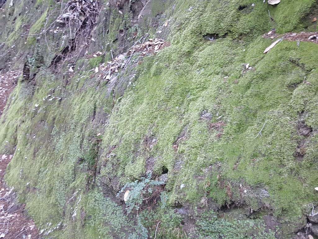 First Water, Mt. Wilson Trail | Mt Wilson Trail, Sierra Madre, CA 91024, USA