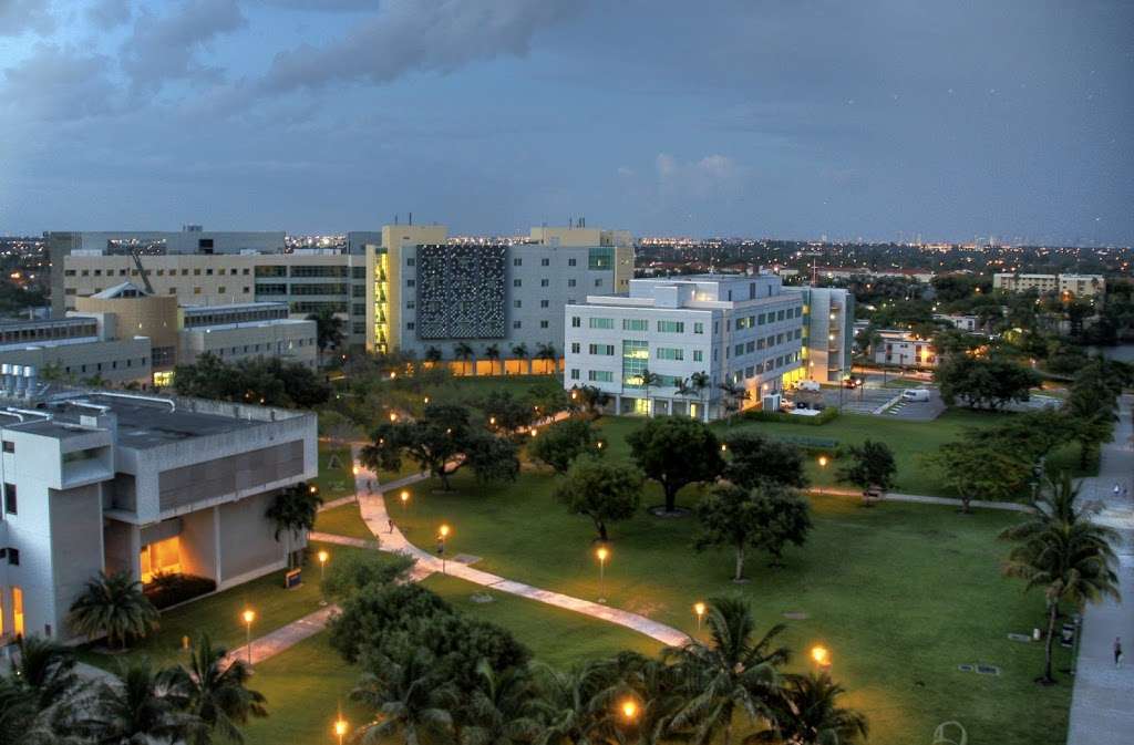 Herbert Wertheim College of Medicine | 11200 SW 8th St, Miami, FL 33199, USA | Phone: (305) 348-0570