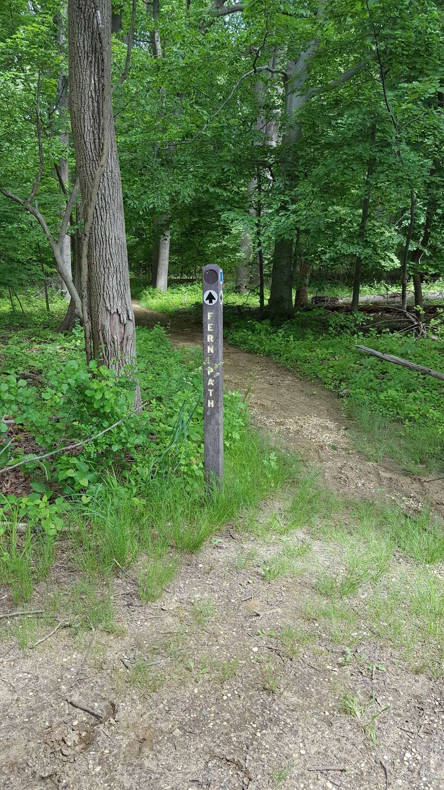 Ramanessin Section -Trail Access | Holmdel, NJ 07733, USA