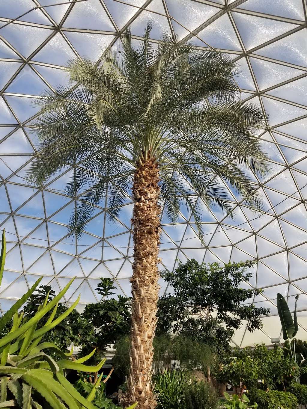 Behind The Seeds Greenhouse Tour | 1510 Avenue of the Stars, Orlando, FL 32836, USA | Phone: (407) 939-8687