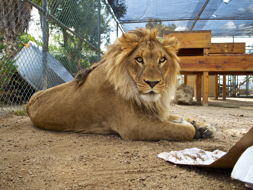 Americas Teaching Zoo | 7075 Campus Rd, Moorpark, CA 93021, USA | Phone: (805) 378-1441