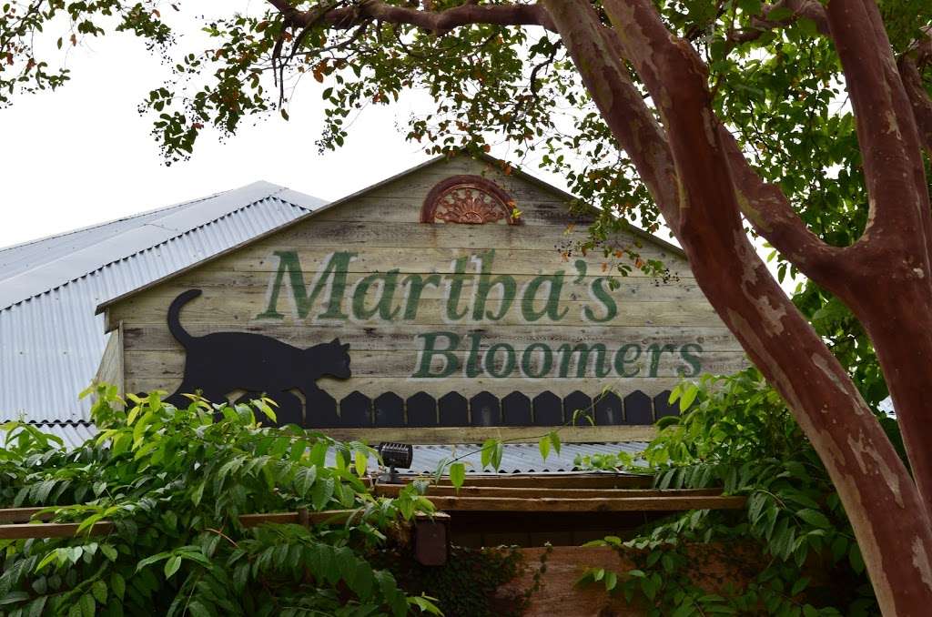 Marthas Bloomers | 8101 Hwy 6, Navasota, TX 77868, USA | Phone: (936) 825-7400