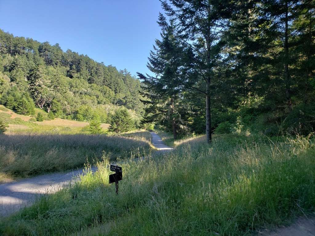 Bear Valley Trailhead | Bear Valley Visitor Center Access Road, Point Reyes Station, CA 94956, USA