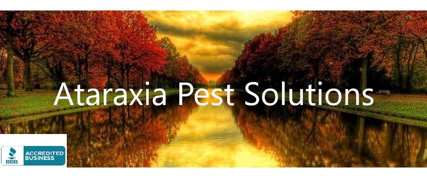 Ataraxia Pest Solutions | 4625 Sudley Road NUM 141, Catharpin, VA 20143, USA | Phone: (833) 933-7378