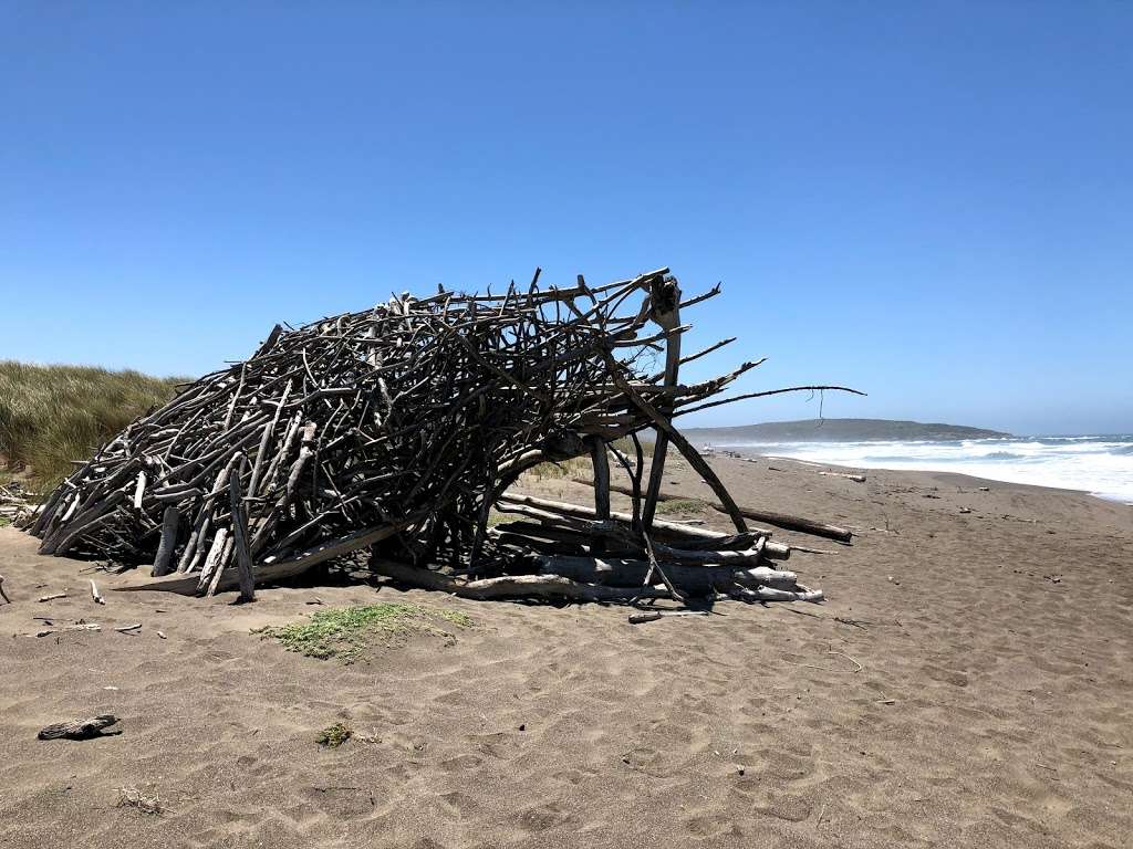 Bodega Dunes Beach | Salmon Creek, Jenner, CA 95450, USA