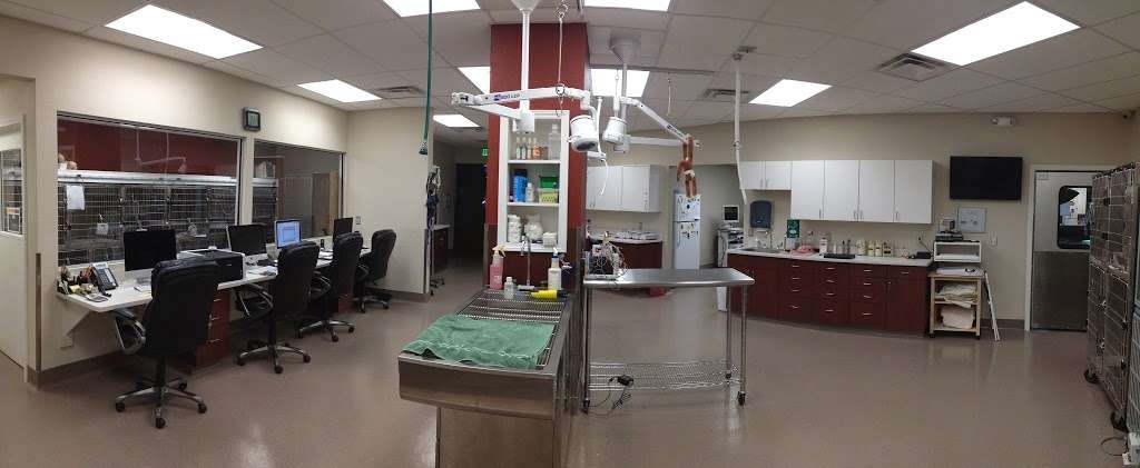 East Valley Emergency Pet Clinic | 938 N Diamond Bar Blvd, Diamond Bar, CA 91765, USA | Phone: (909) 861-5737