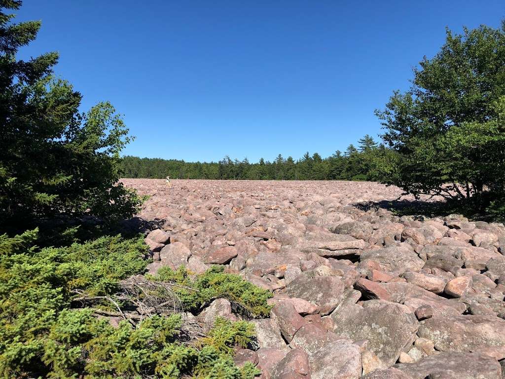 Hickory Run Boulder Field | Lake Harmony, PA 18624, USA | Phone: (888) 727-2757