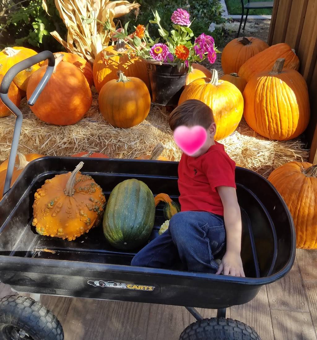 Phillips Farms | Lodi, CA 95242, USA | Phone: (209) 368-7384