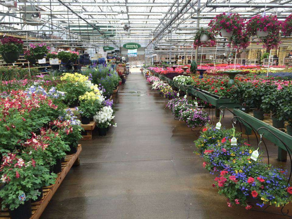 Alsip Home & Nursery | 20601 South La Grange Road, Frankfort, IL 60423 | Phone: (815) 469-1044