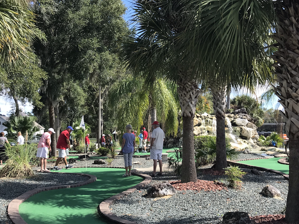 Tree Tops Golf | 698 W Lady Lake Blvd, Lady Lake, FL 32159, USA | Phone: (352) 259-2313