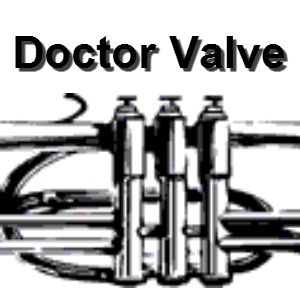 Doctor Valve | 479 5th St, Lemont, IL 60439, USA | Phone: (708) 482-8153