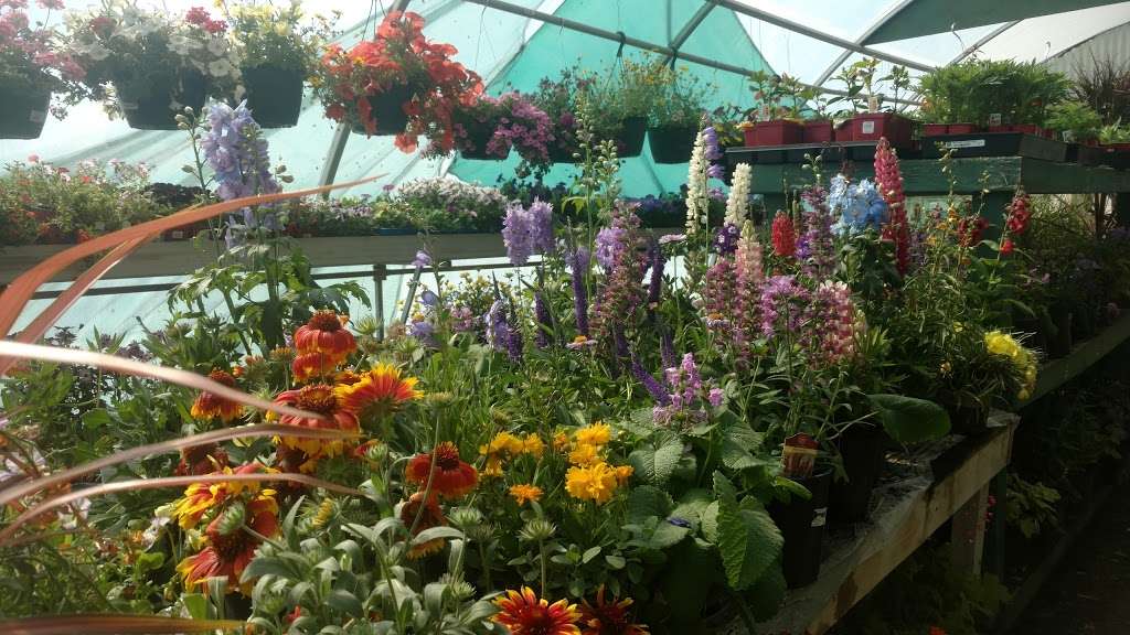 Holly Acres Nursery and Garden Center | 5403 CO-86, Elizabeth, CO 80107, USA | Phone: (303) 646-8868