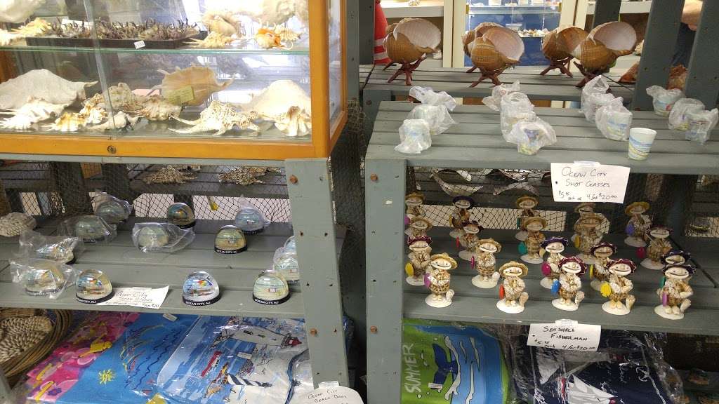 Discovery Seashell Museum | 2721 Asbury Ave, Ocean City, NJ 08226 | Phone: (609) 398-2316