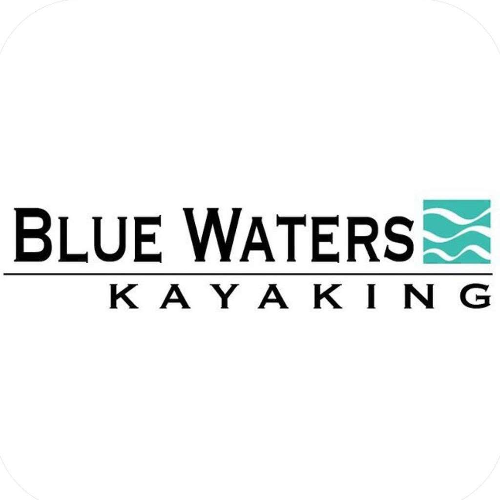 Blue Waters Kayaking North Bay Bioluminescence Tour | 23240 CA-1, Marshall, CA 94940, USA | Phone: (415) 669-2600
