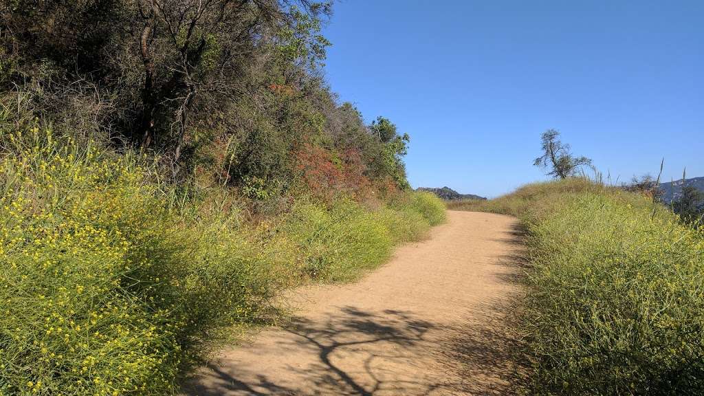 Paseo Miramar Trail | Paseo Miramar Trail, Malibu, CA 90265, USA