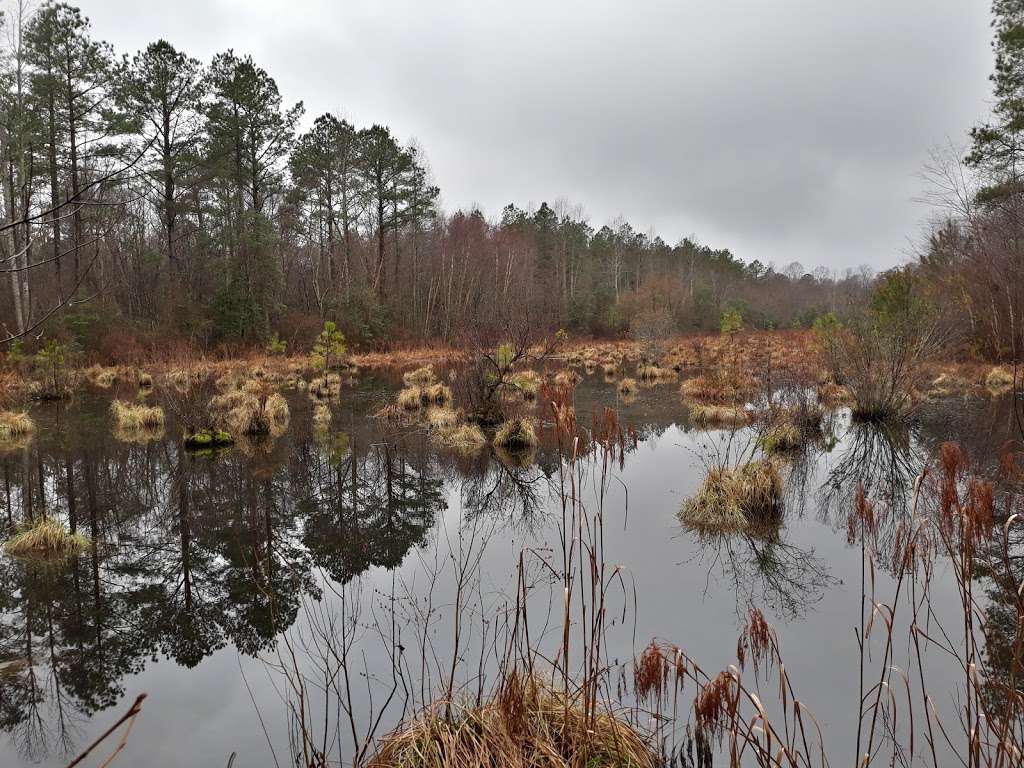 Zoar State Forest - Virginia Department of Forestry | 4445 Upshaw Rd, Aylett, VA 23009, USA | Phone: (804) 769-2962