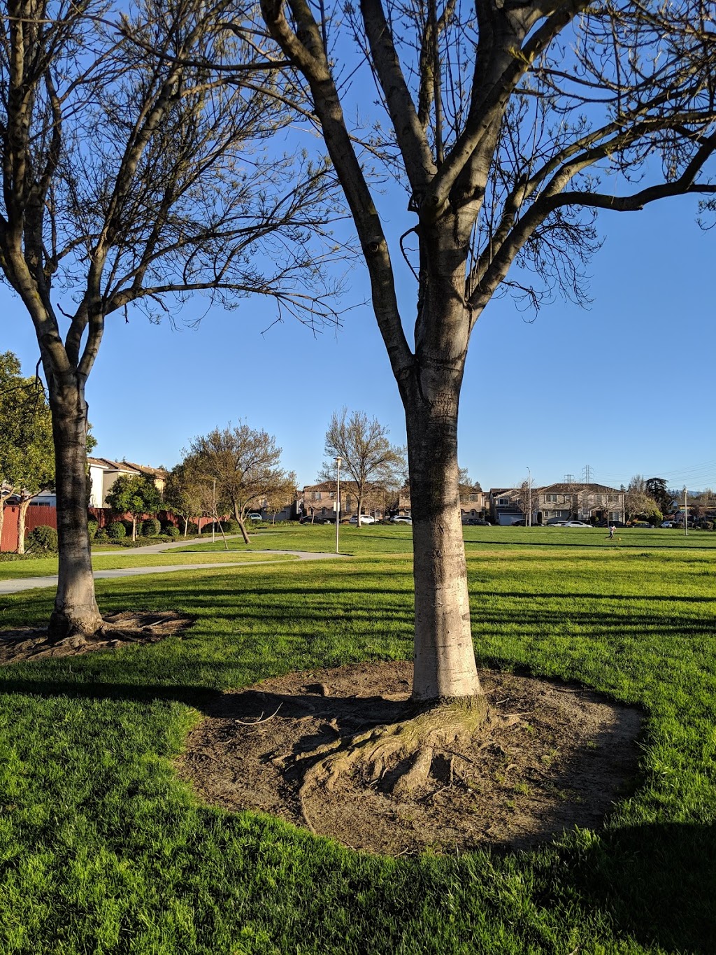 Fuller Street Park | 61 Fuller St, Santa Clara, CA 95054, USA | Phone: (408) 615-3140