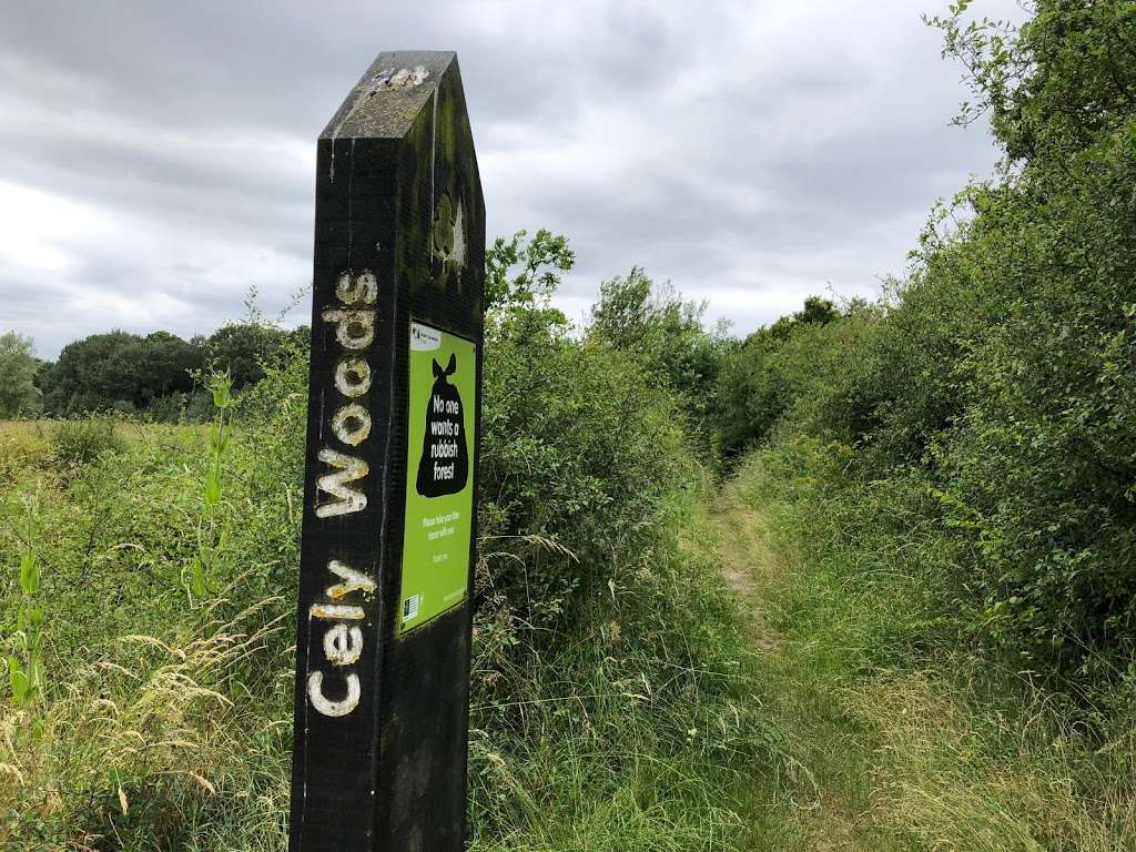 Cely Woods | Aveley, Upminster RM14 2TF, UK