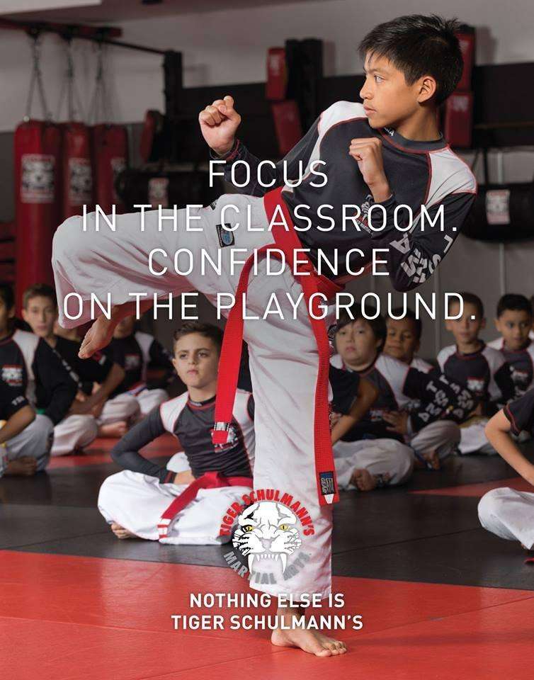 Tiger Schulmanns Martial Arts | 354 Jericho Turnpike, Syosset, NY 11791, USA | Phone: (516) 208-2908