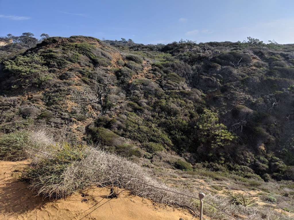Guy Fleming Trail Trailhead | Guy Fleming Trail, La Jolla, CA 92037, USA Guy Fleming Trail Trailhead | Guy Fleming Trail, La Jolla, CA 92037, USA