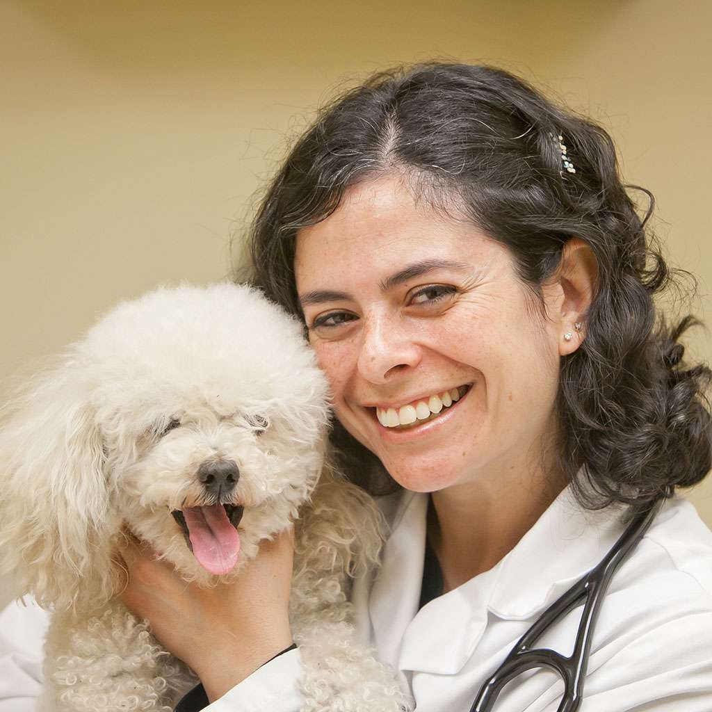 Bergen Veterinary Hospital | 1680 Teaneck Rd, Teaneck, NJ 07666, USA | Phone: (201) 837-3470