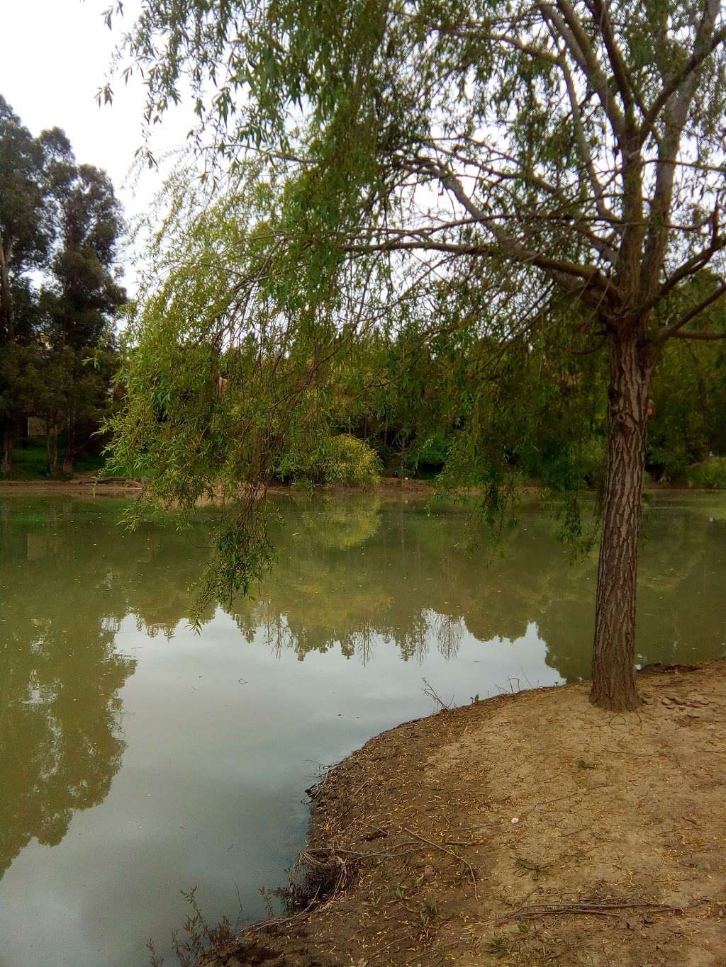 Don Castro Regional Recreation Area | 22400 Woodroe Ave, Hayward, CA 94541, USA | Phone: (510) 544-3073