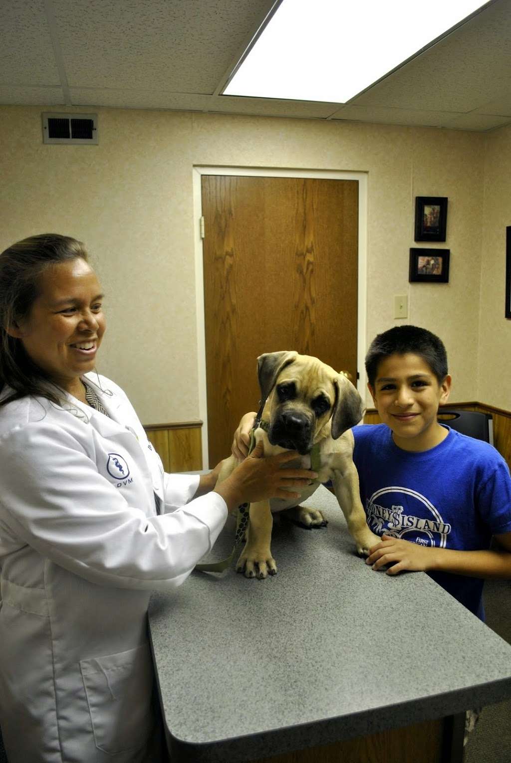 Illiana Veterinary Hospital | 16259 Van Dam Rd, South Holland, IL 60473 | Phone: (708) 331-4640