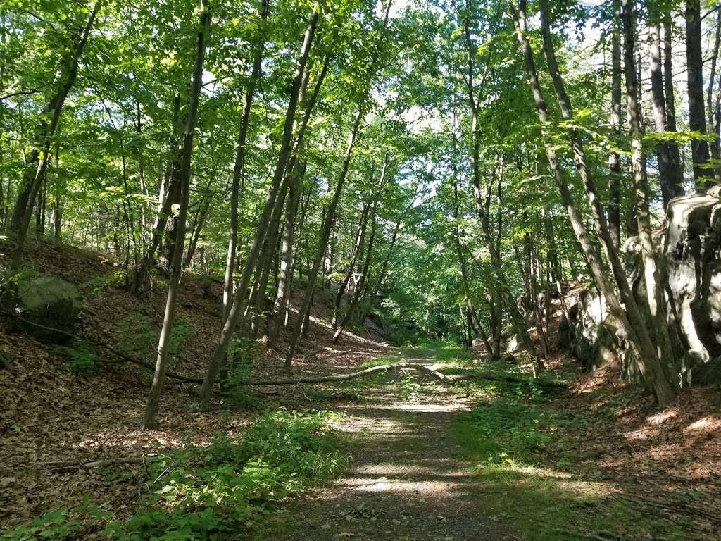 Sheepfold Park-Middlesex Fells Reservation | Soap Box Derby Track, Stoneham, MA 02180, USA | Phone: (617) 727-1199 ext. 406