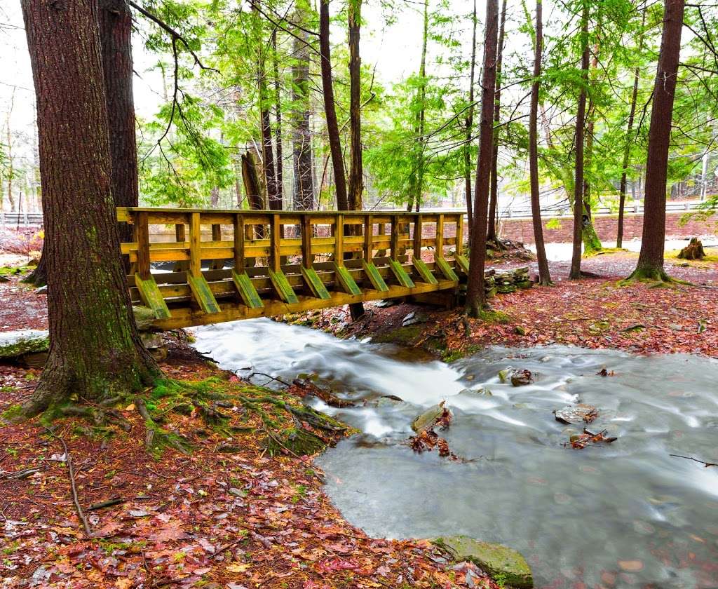 Falls Natural Trail, Ricketts Glen | PA-118, Benton, PA 17814, USA