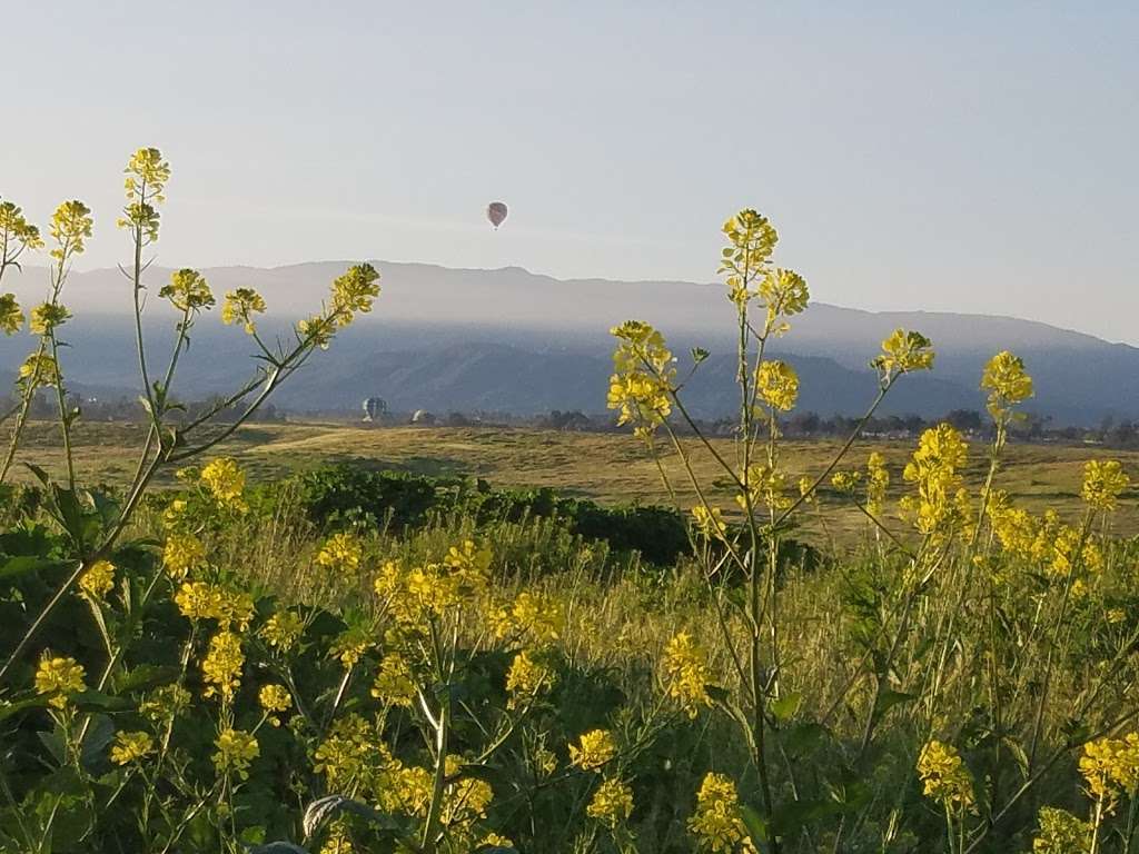 French Valley Wildlife Area | Winchester, CA 92596, USA | Phone: (760) 200-9174