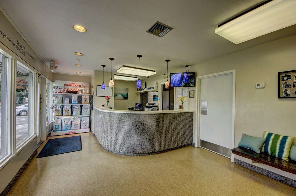 Maricamp Animal Hospital | 4485 SE 53rd Ave, Ocala, FL 34480, USA | Phone: (352) 624-0300