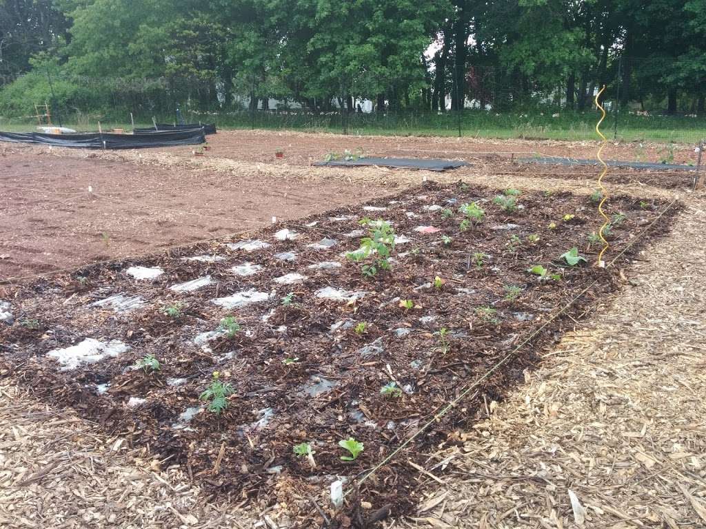 Somerset Community Garden | 1640 Amwell Rd, Somerset, NJ 08873 | Phone: (732) 873-2888