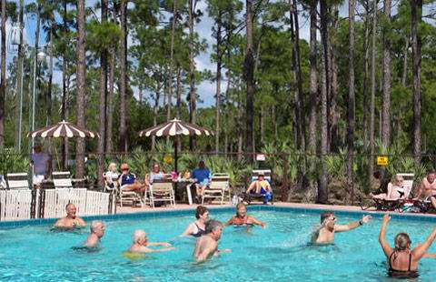 West Palm Beach / Lion Country Safari KOA | 2000 Lion Country Safari Rd, Loxahatchee, FL 33470, USA | Phone: (561) 793-9797