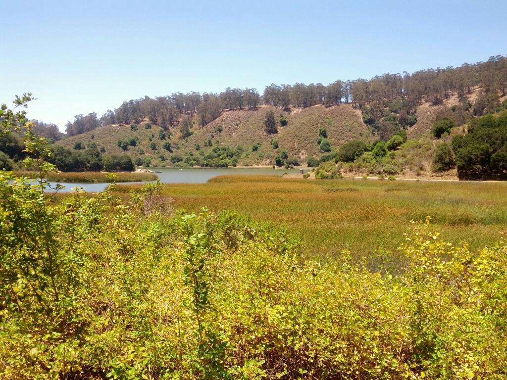 Anthony Chabot Regional Park | 9999 Redwood Rd, Castro Valley, CA 94552, USA | Phone: (888) 327-2757