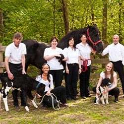 Milford Animal Hospital | 123 Chippy Cole Rd, Milford, PA 18337, USA | Phone: (570) 296-8448