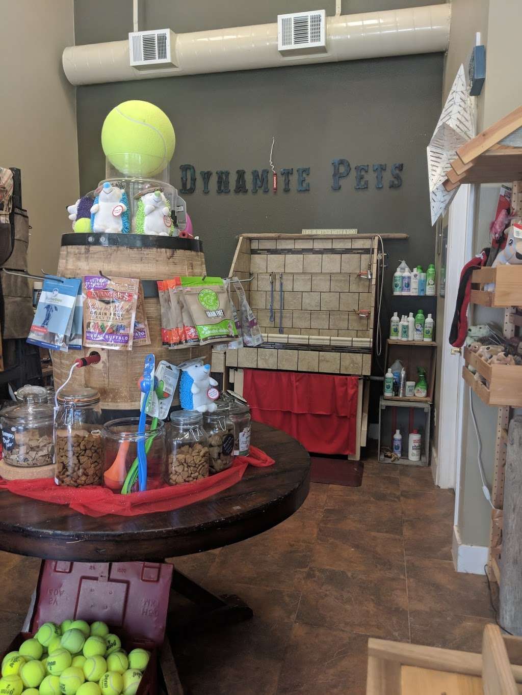 Dynamite Pets | 2162 Railroad Ave, Hercules, CA 94547 | Phone: (510) 283-6788