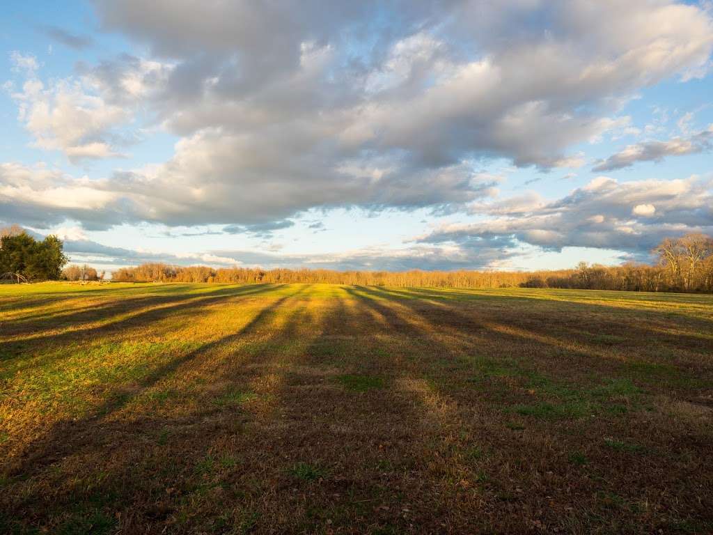 Piscataway Park; Accokeek Creek Boardwalk | 2613-2687 Bryan Point Rd, Accokeek, MD 20607