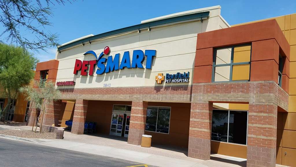 PetSmart | 2840 W Chandler Blvd, Chandler, AZ 85224, USA | Phone: (480) 782-7727