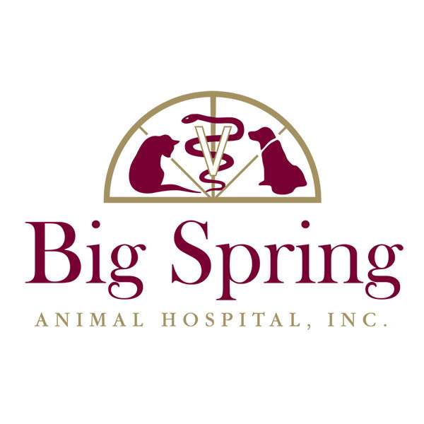 Big Spring Animal Hospital | 2279 Winchester Ave, Martinsburg, WV 25405, USA | Phone: (304) 267-2909