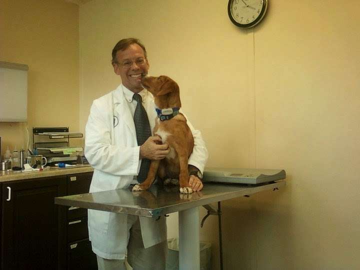 Iron Hills Animal Hospital | 21 State Route 10 E, Succasunna, NJ 07876, USA | Phone: (973) 584-5167