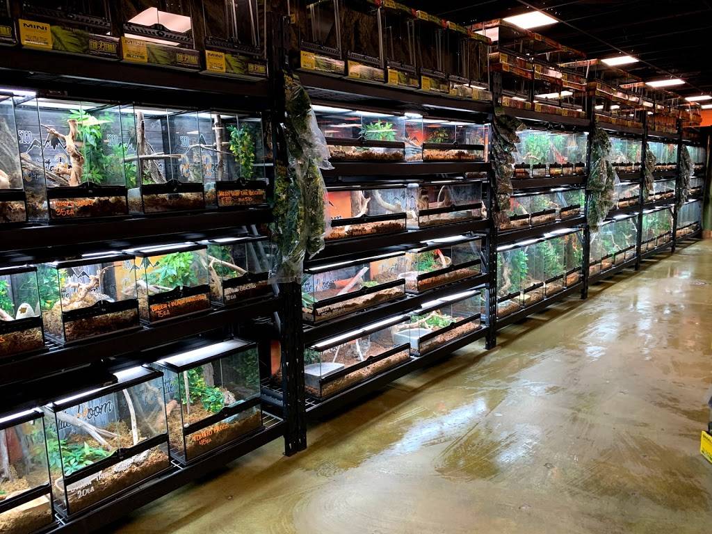 5280 Reptile Room - North | 11944 Washington St, Northglenn, CO 80233, USA | Phone: (720) 328-5074