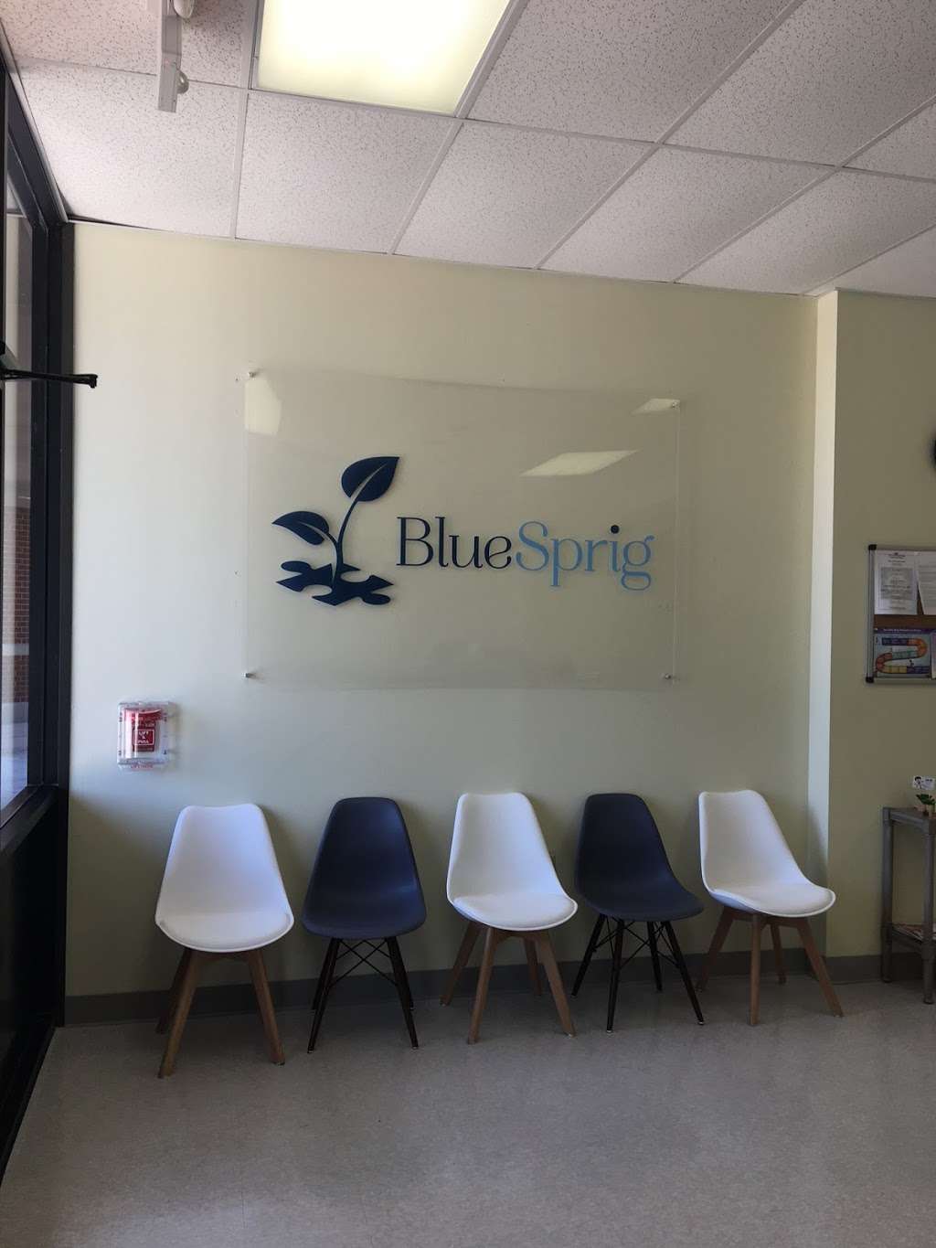 BlueSprig | 11925-3B, Southwest Fwy, Stafford, TX 77477 | Phone: (832) 460-5121