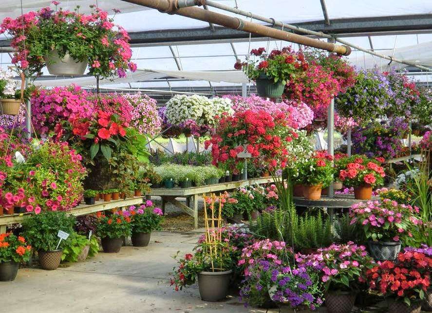 Hoffman Garden Center | 30699 US-12, Volo, IL 60073, USA | Phone: (815) 344-1990