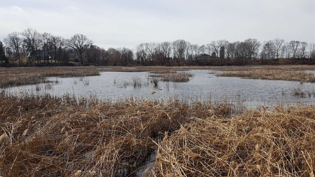 Mannington Marsh Wildlife Refuge Observation Tower | Salem Woodstown Rd, Mannington Township, NJ 08079, USA