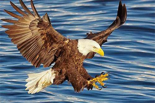 Conforti Photography | 2595 W Lake Houston Pkwy, Kingwood, TX 77339, USA