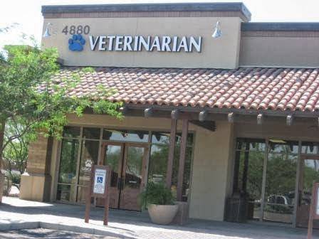Lifecare Animal Hospital | 4880 S Gilbert Rd, Chandler, AZ 85249, USA | Phone: (480) 895-7800