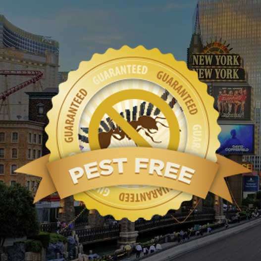 Pest Control Inc | 3642 N Rancho Dr Suite #102, Las Vegas, NV 89130, USA | Phone: (702) 228-4394