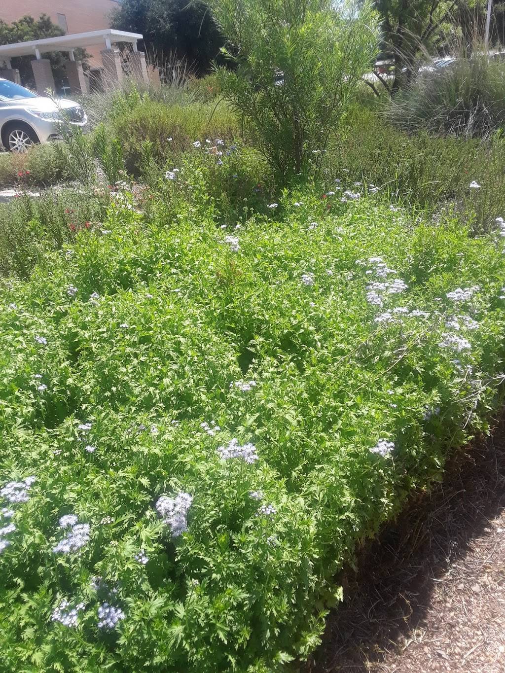 SW Sub Courthouse Demonstration Garden | 6539 Granbury Rd, Fort Worth, TX 76133 | Phone: (817) 370-4525