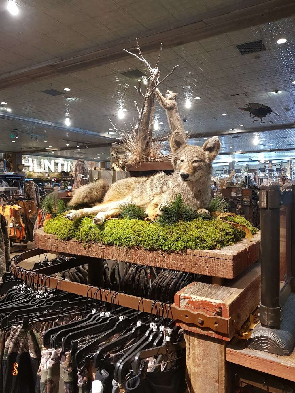 Bass Pro Shops Tracker Boat Center | 1 Bass Pro Dr, Foxborough, MA 02035, USA | Phone: (508) 216-2669