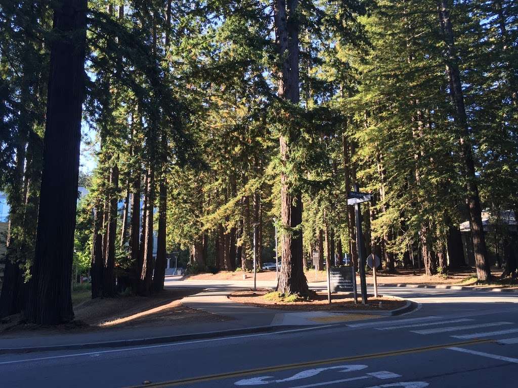 University of California Santa Cruz | 1156 High St, Santa Cruz, CA 95064, USA | Phone: (831) 459-0111